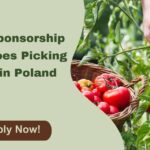Visa-Sponsorship-Tomatoes-Picking-Jobs-in-Poland